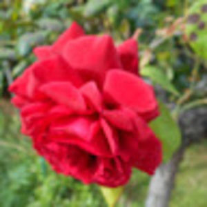 Meet your Posher, Marin